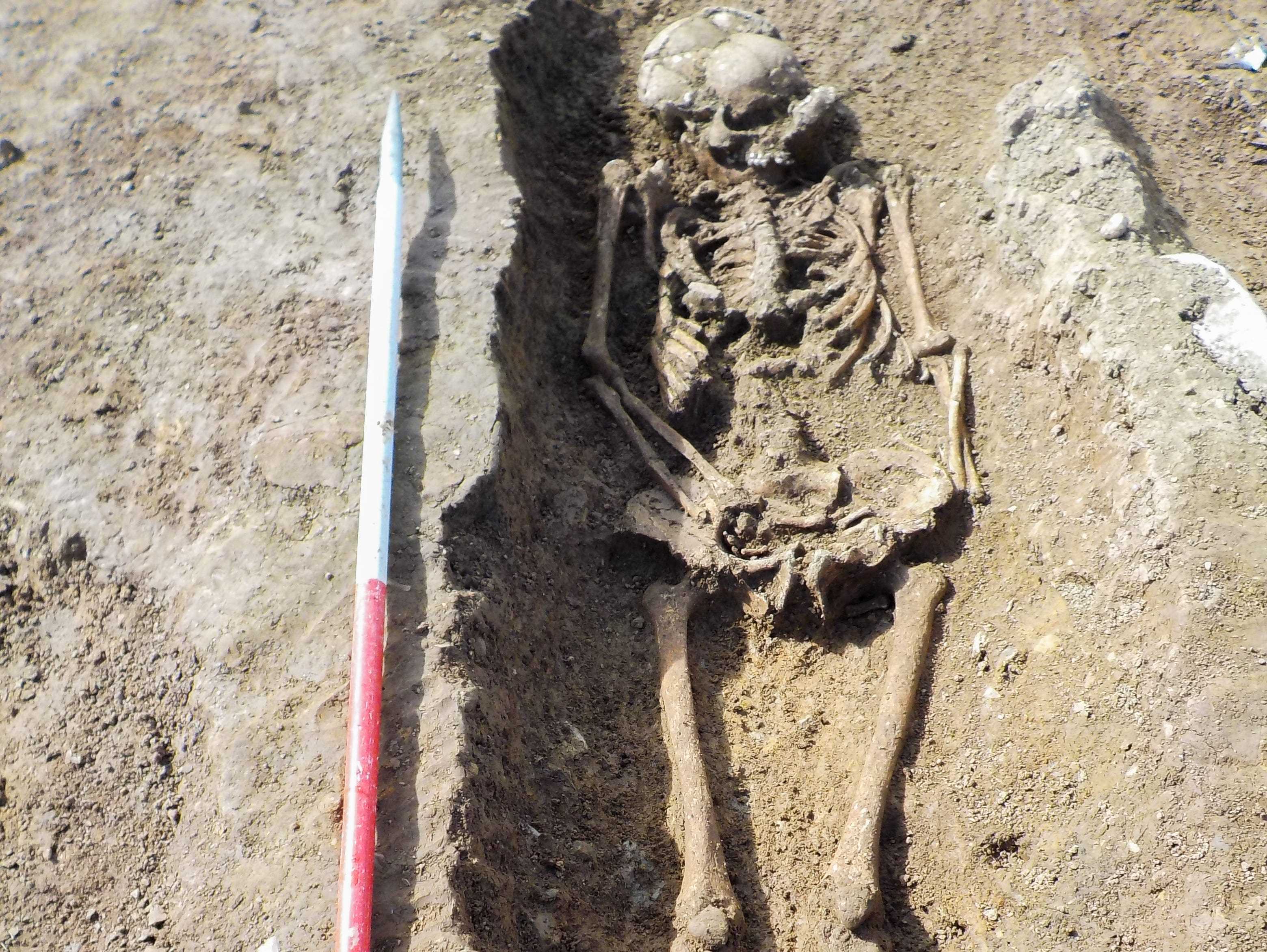 Ein Skelett aus dem mittelalterlichen Gräberfeld