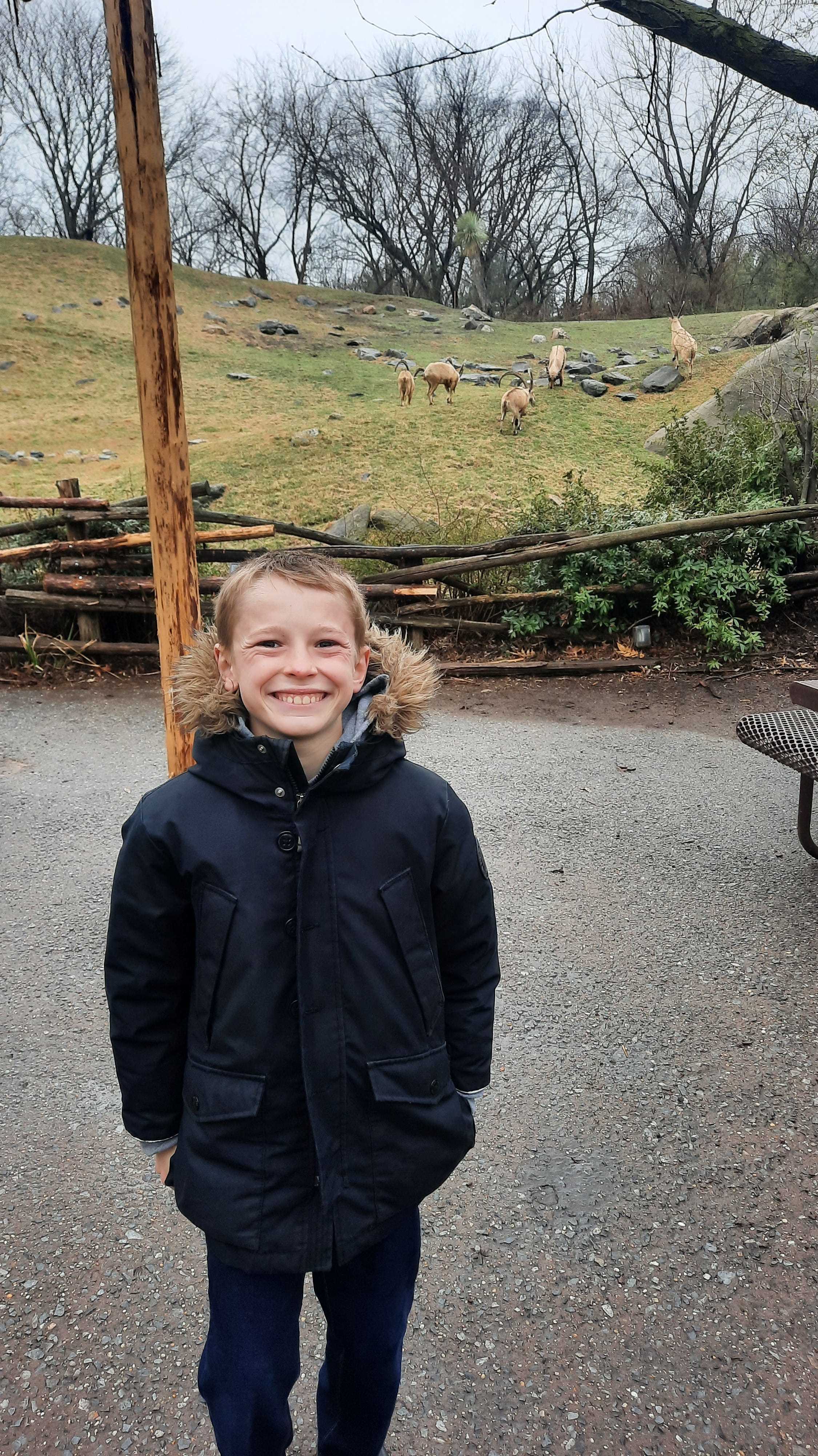 Der 11-jährige Bobby liebt Lemuren besonders, posierte aber gerne mit einer Herde Steinböcke im Bronx Zoo.