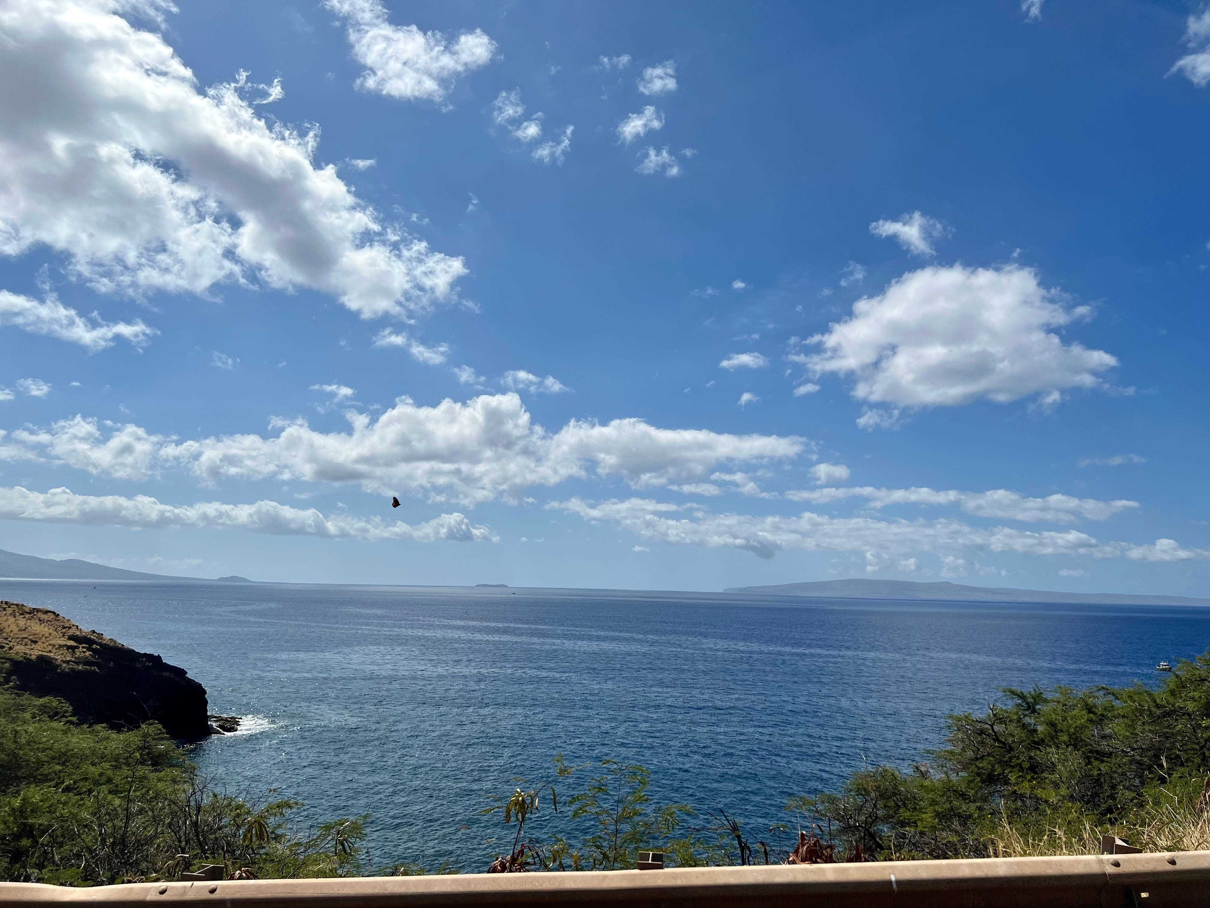 ein Blick auf den blauen Himmel und das Wasser von Maui mit einem Schmetterling, der über dem Wasser fliegt, und Walen in der Ferne