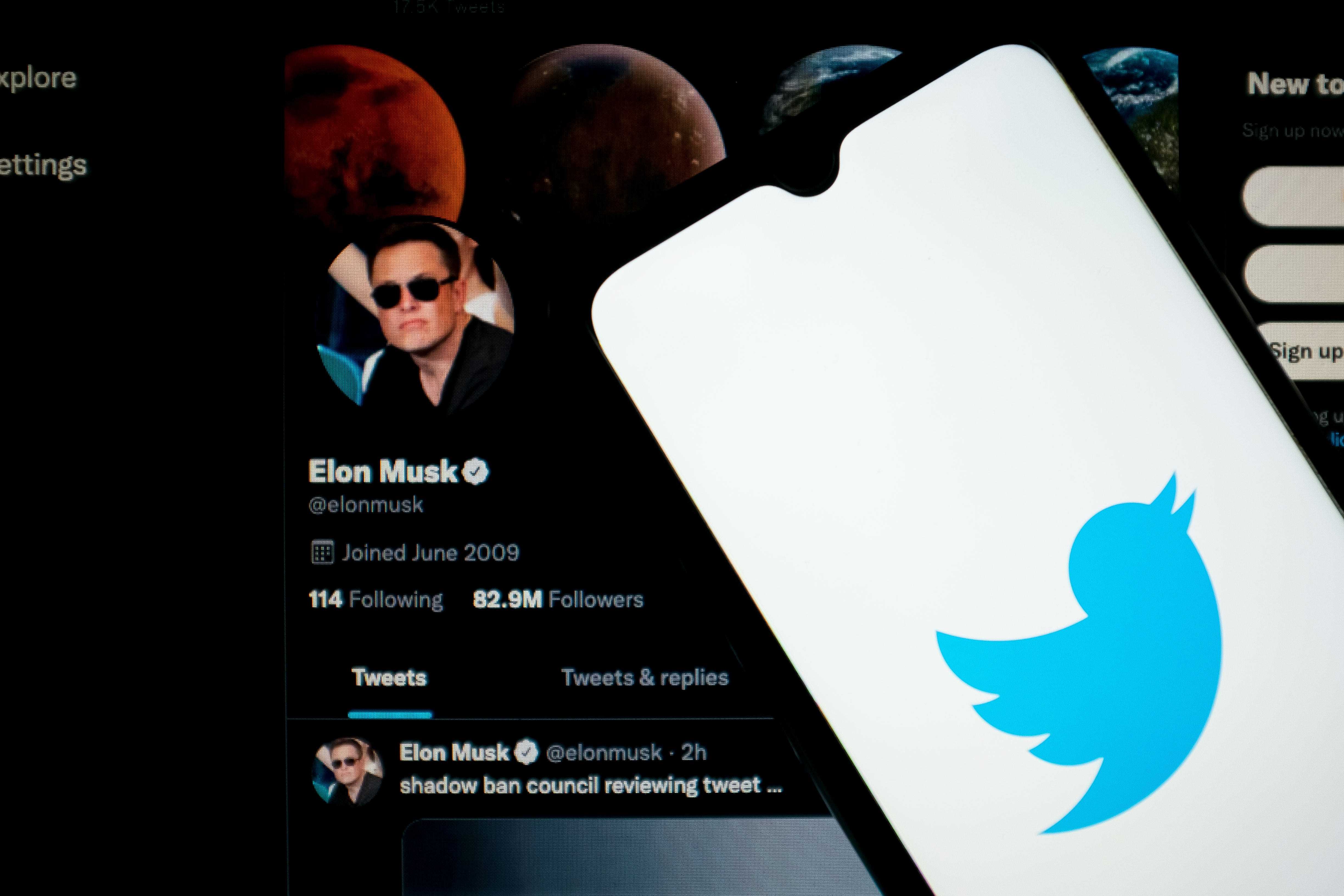 Elon Musk und Twitter-Logo-Illustration
