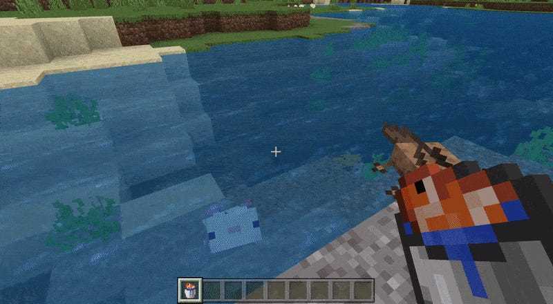 Ein animiertes GIF eines Minecraft-Spielers, der Axolotl mit tropischen Fischen füttert und ihnen dann beim Brüten zusieht.