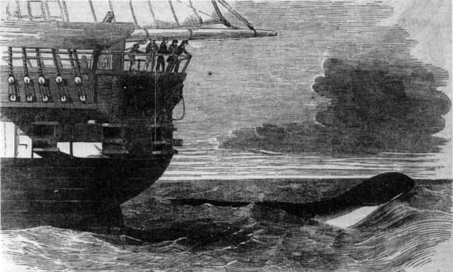 HMS Daedalus entdeckt eine Seeschlange.