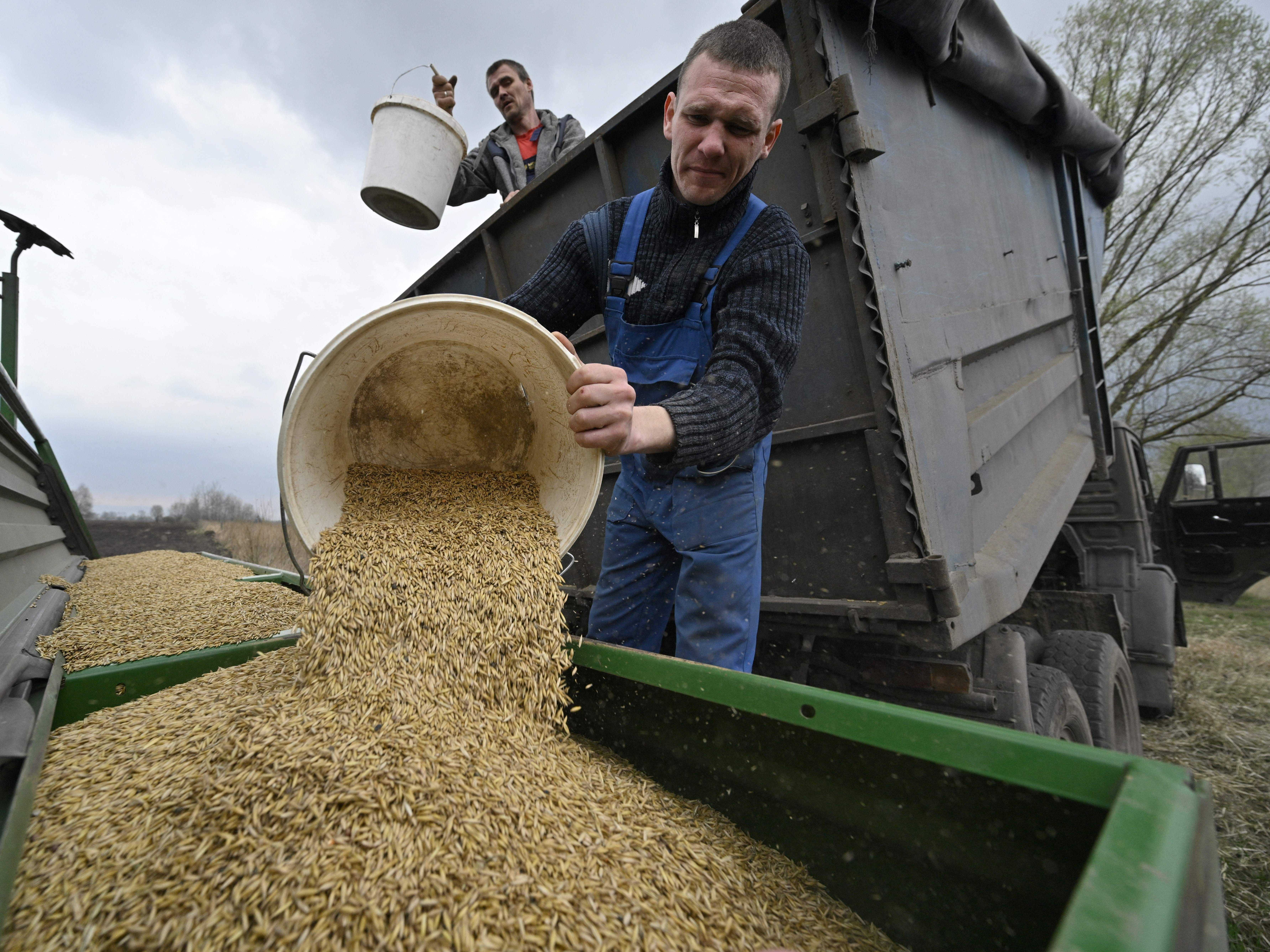 Landwirte laden Hafer in die Sämaschine, um am 16. April 2022 auf einem Feld östlich von Kiew zu säen.