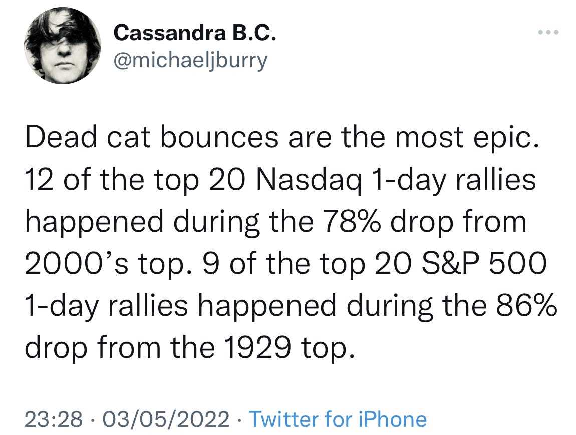 Burry-Tweet über tote Katzenhüpfer