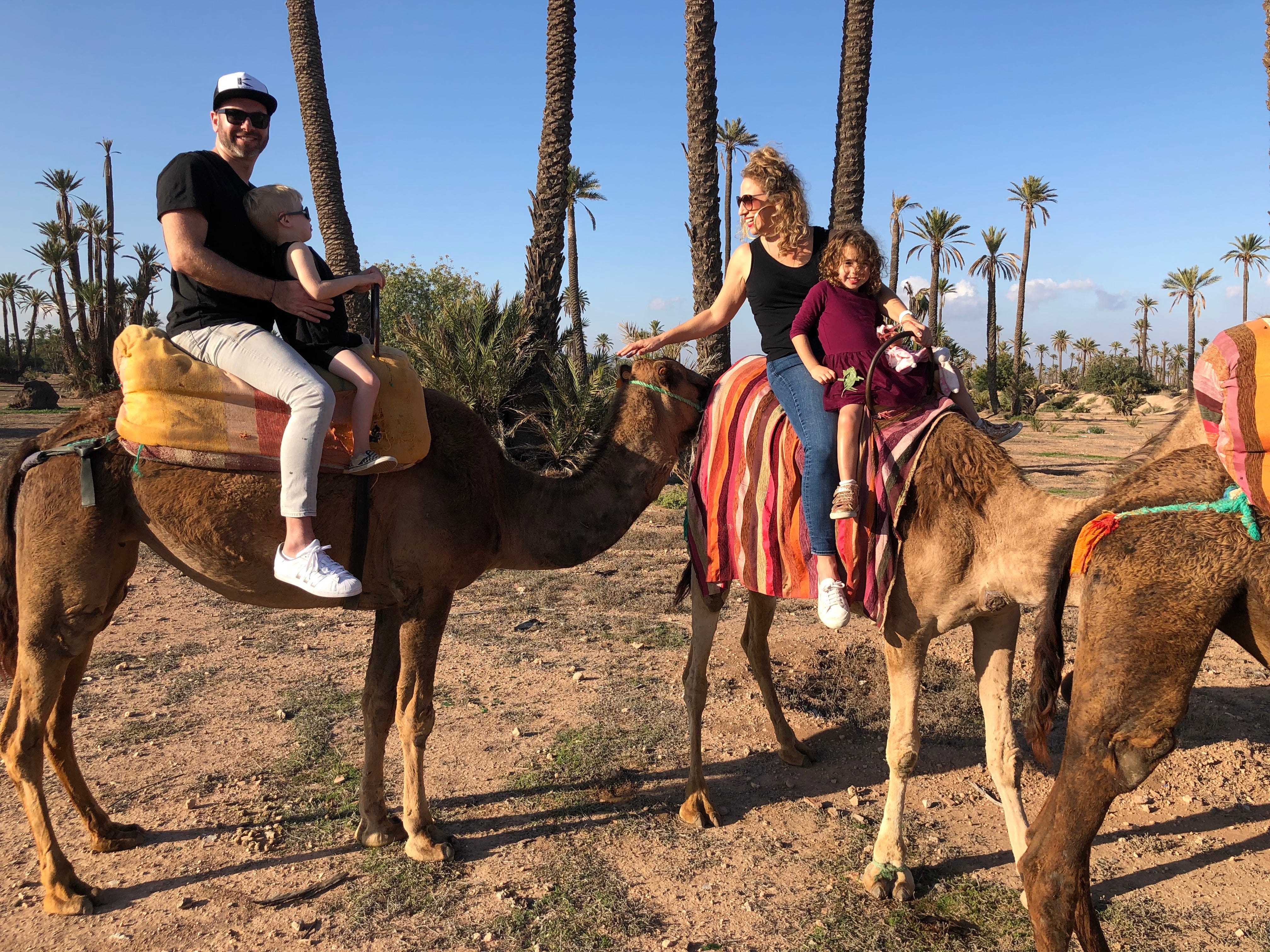 Eine Familie, die auf Kamelen reitet, mit Vater und Sohn auf dem einen und Mutter und Tochter auf dem anderen.