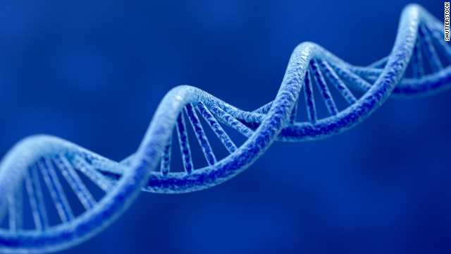 Wissenschaftler sequenzieren erstmals das komplette menschliche Genom