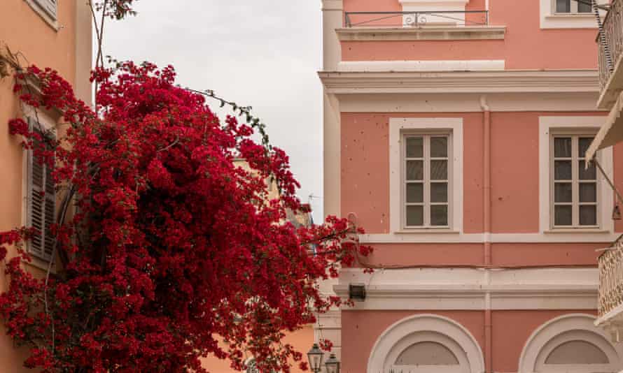 Altes Haus mit leuchtend roten Blüten in Kerkyra auf Korfu.