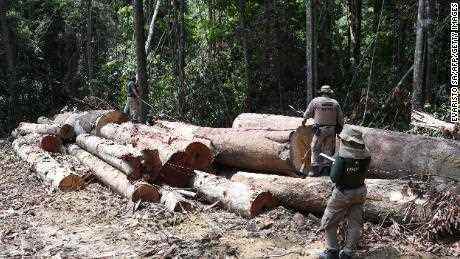 Beamte des Bundesstaates Para im Norden Brasiliens inspizieren im September ein abgeholztes Gebiet. 