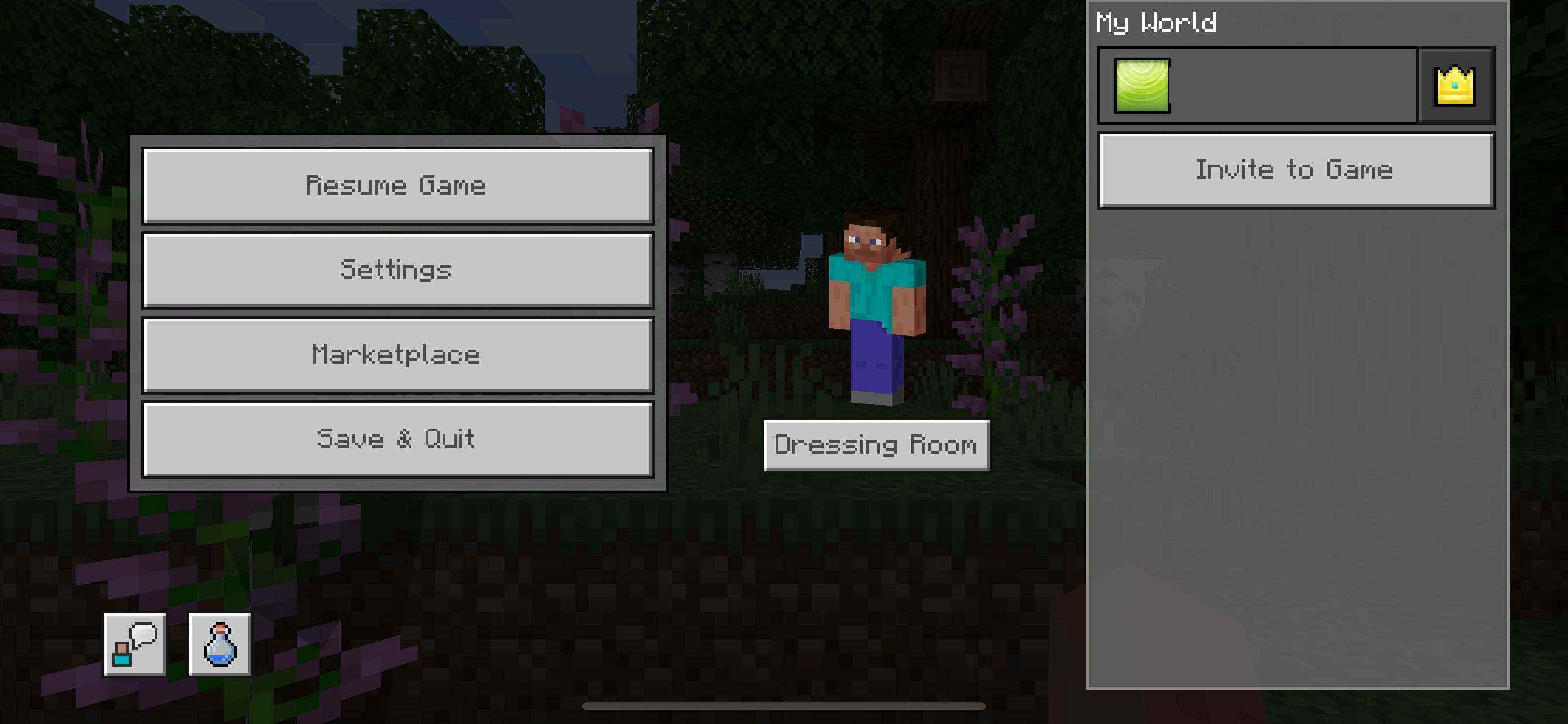 Screenshot des Pausenmenüs von Minecraft PE mit hervorgehobener Schaltfläche „Einstellungen“.