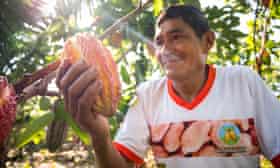Kakaoproduzent in Peru