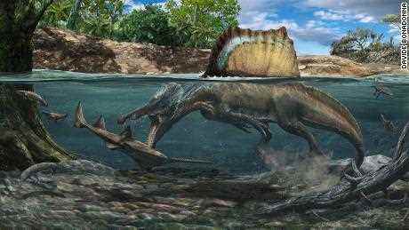 Ein Dinosaurier, der größer als T. rex war, schwamm und jagte seine Beute unter Wasser