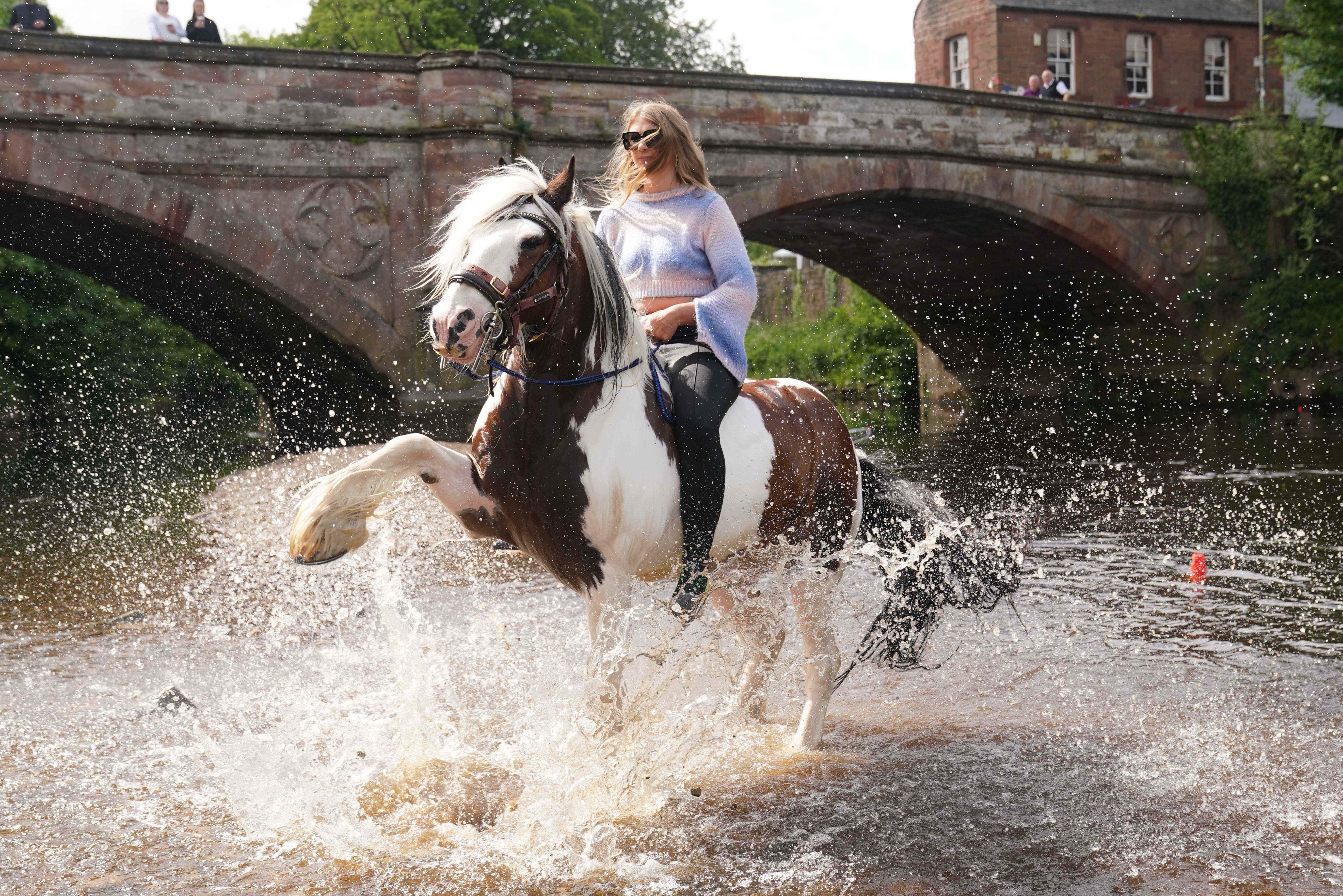 Ein Reisender reitet auf einem Pferd im Fluss Eden auf der Appleby Horse Fair, dem jährlichen Treffen von Zigeunern und Reisenden in Appleby, Cumbria.