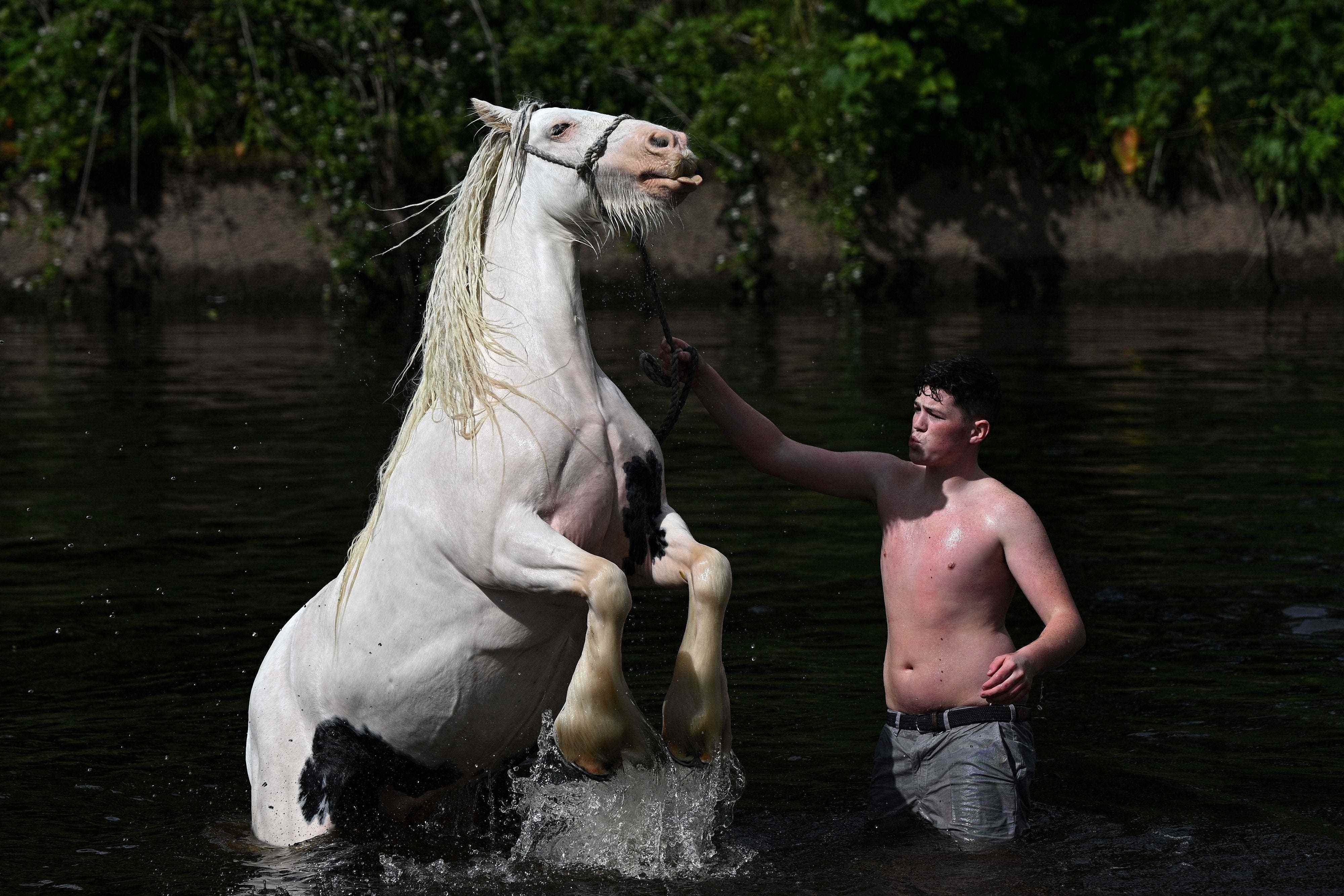 Ein Mann wäscht am ersten Tag der jährlichen Appleby Horse Fair in der Stadt Appleby-in-Westmorland im Nordwesten Englands am 9. Juni 2022 ein Pferd im Fluss.