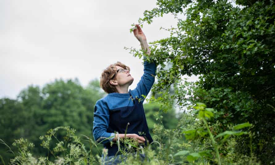 Fowler pflückt Weißdornblätter, während sie in ihrem örtlichen Park in Birmingham nach essbaren Blättern und Blumen sucht.