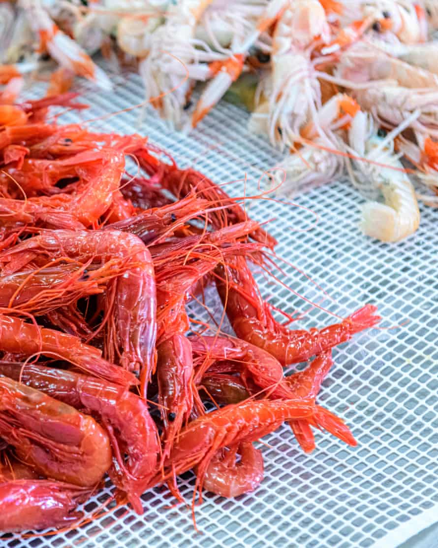 Am selben Tag gefangene Garnelen und Meeresfrüchte zum Verkauf auf dem Fisch- und Gemüsemarkt von Olhão.