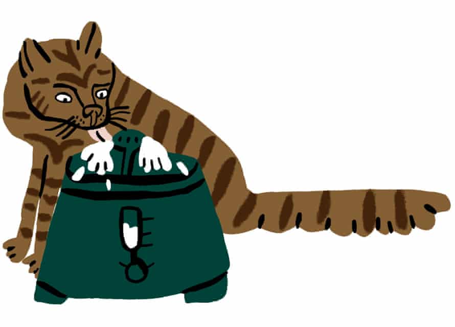 Illustration einer Katze, die aus einem Brunnen trinkt