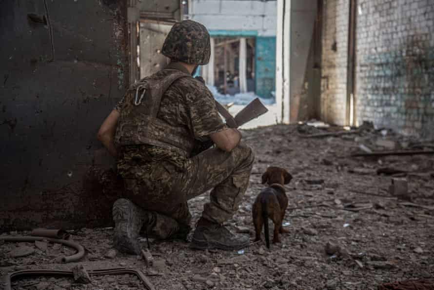 Ein ukrainischer Soldat mit einem Hund in der zerstörten ostukrainischen Stadt Sievierodonetsk.