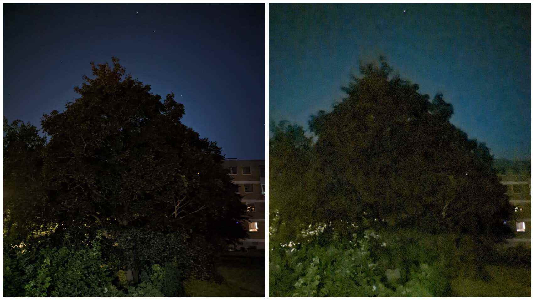 Pixel 6 – Primär- vs. Ultraweitwinkelkamera mit Nachtmodus (auf Zoom abgestimmt).  - iPhone 13, Galaxy S22, Pixel 6 zeigen, dass Apple, Samsung und Google Ultra-Wide-Kameras nicht ernst nehmen
