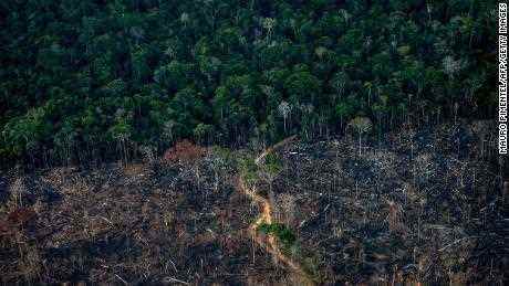 Ein abgeholzter Teil des Amazonas-Regenwaldes ist im September 2021 in Labrea, Bundesstaat Amazonas, Brasilien, zu sehen.