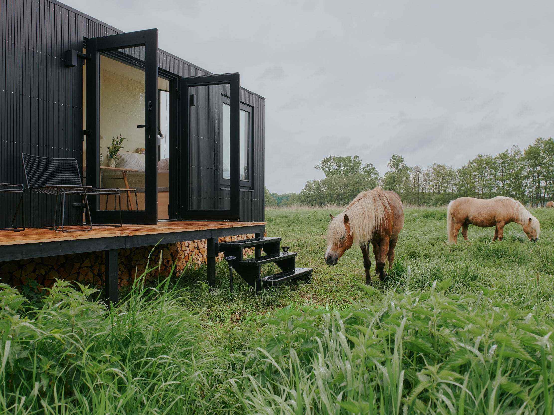 Eine Raus-Hütte draußen in der Natur, umgeben von Bäumen und Tieren.