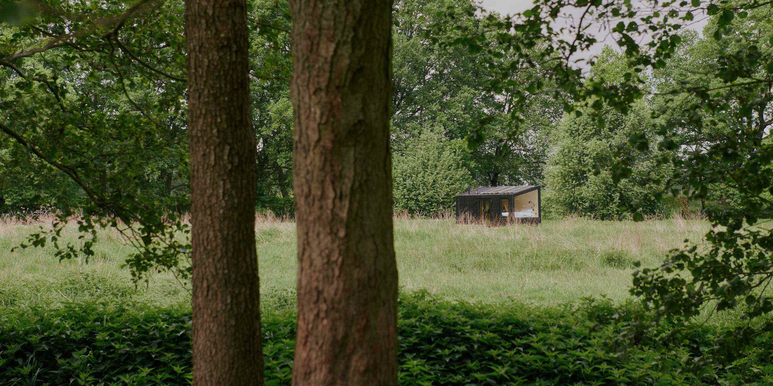 Eine Raus-Hütte draußen in der Natur, umgeben von Bäumen