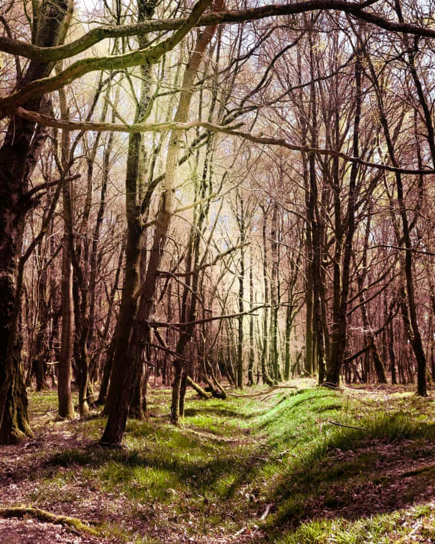 Ashdown Forest ist die Inspiration für die Winnie the Pooh-Geschichten von AA Milne und ist in den Geschichten als Hundred Acre Wood bekannt.