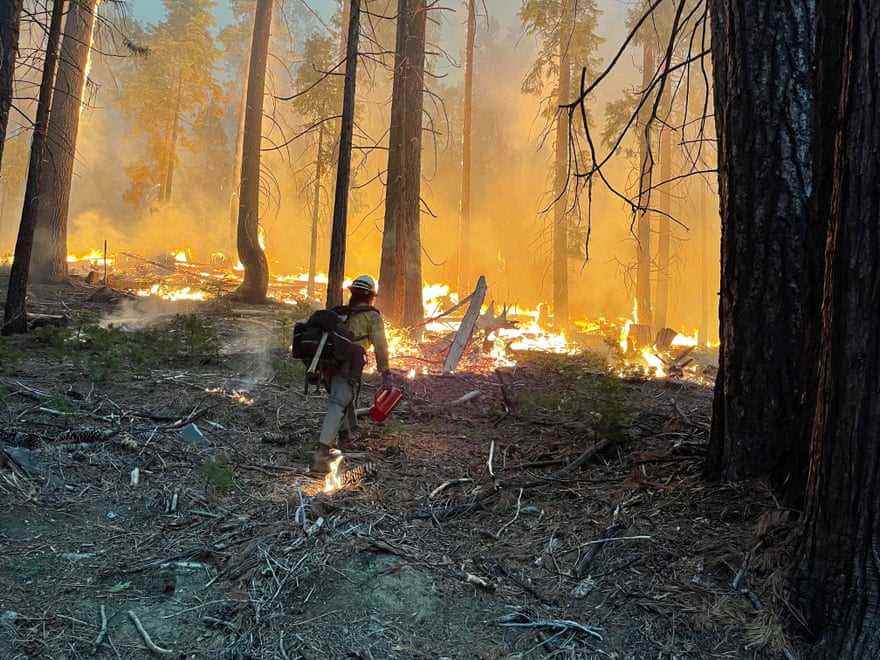Feuerwehrmann geht mit Feuer vor sich durch den Wald