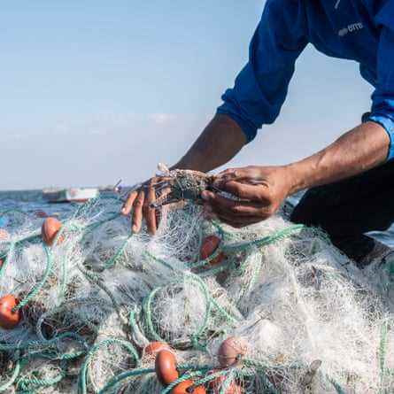 Ein Fischer pflückt Krabben aus seinen Netzen
