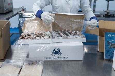 Eine Person, die Schutzkleidung für den Umgang mit Lebensmitteln trägt, packt eine Kiste mit Krabben