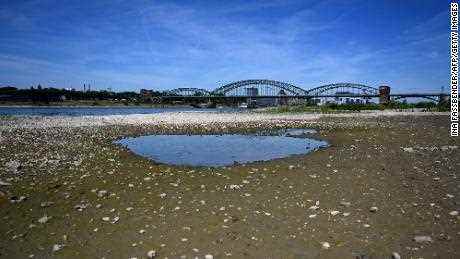 Das fast ausgetrocknete Flussbett des Rheins in Köln, Westdeutschland, am Montag, als Europa von einer Hitzewelle erfasst wird.
