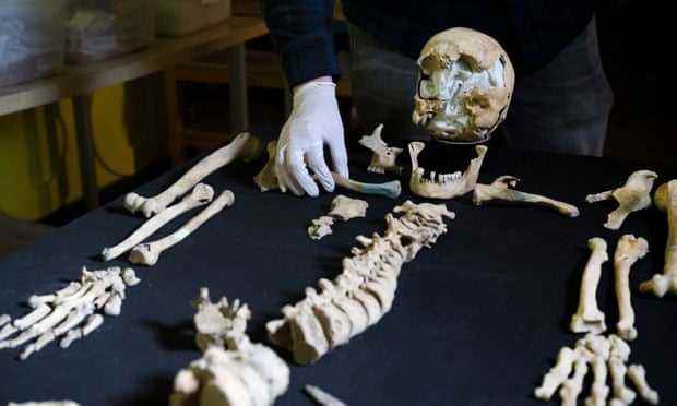 Archäologen in Cardiff rekonstruieren ein Skelett, das bei Arbeiten an der HS2-Eisenbahnverbindung in Buckinghamshire in einem angelsächsischen Gräberfeld gefunden wurde.