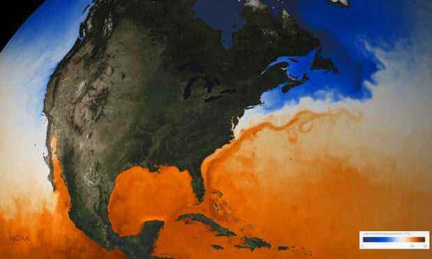 Der Golfstrom ist auf einer Karte zu sehen, die die Meeresoberflächentemperatur zeigt