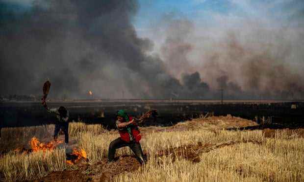 Kurdische Bauern bekämpfen ein Feuer in einem Weizenfeld in Syriens nordöstlicher Provinz Hasaka, einer Kornkammer der Region.