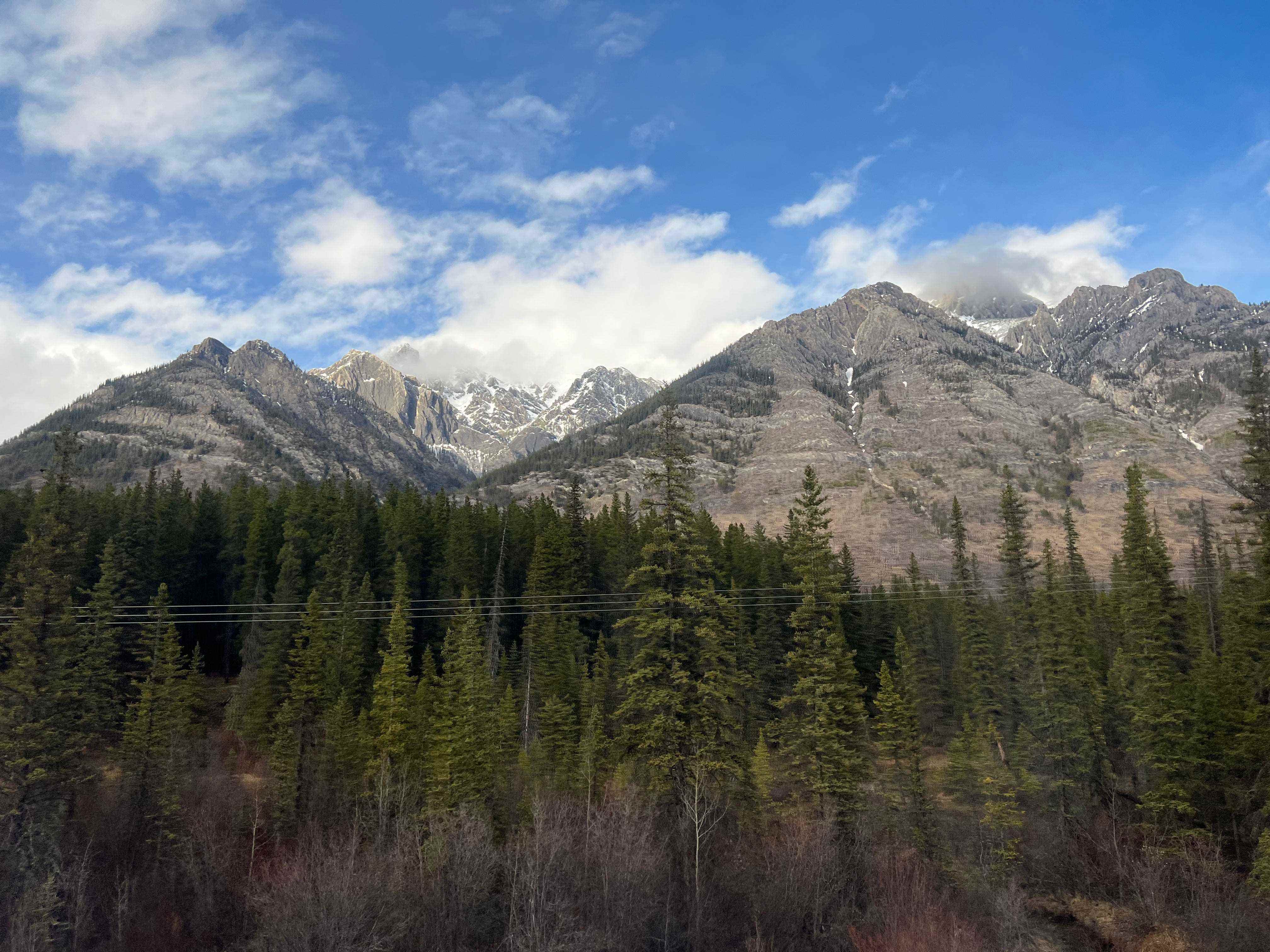 Rocky Mountains mit Pinien und blauem Himmel