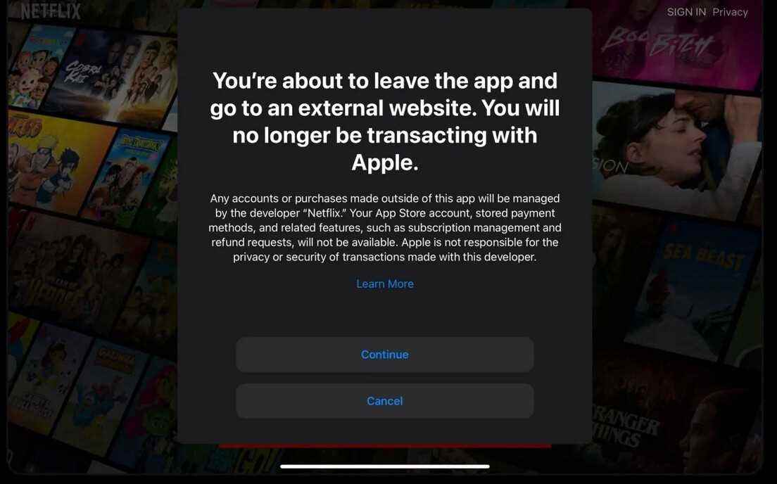 Netflix entgeht der Apple-Steuer - Netflix entgeht der Apple-Steuer endlich, da die App auf die eigene Abonnementseite des Streamers verweist