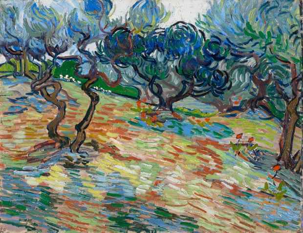 Unwiderstehlich … Olivenbäume, 1889, von Vincent Van Gogh.