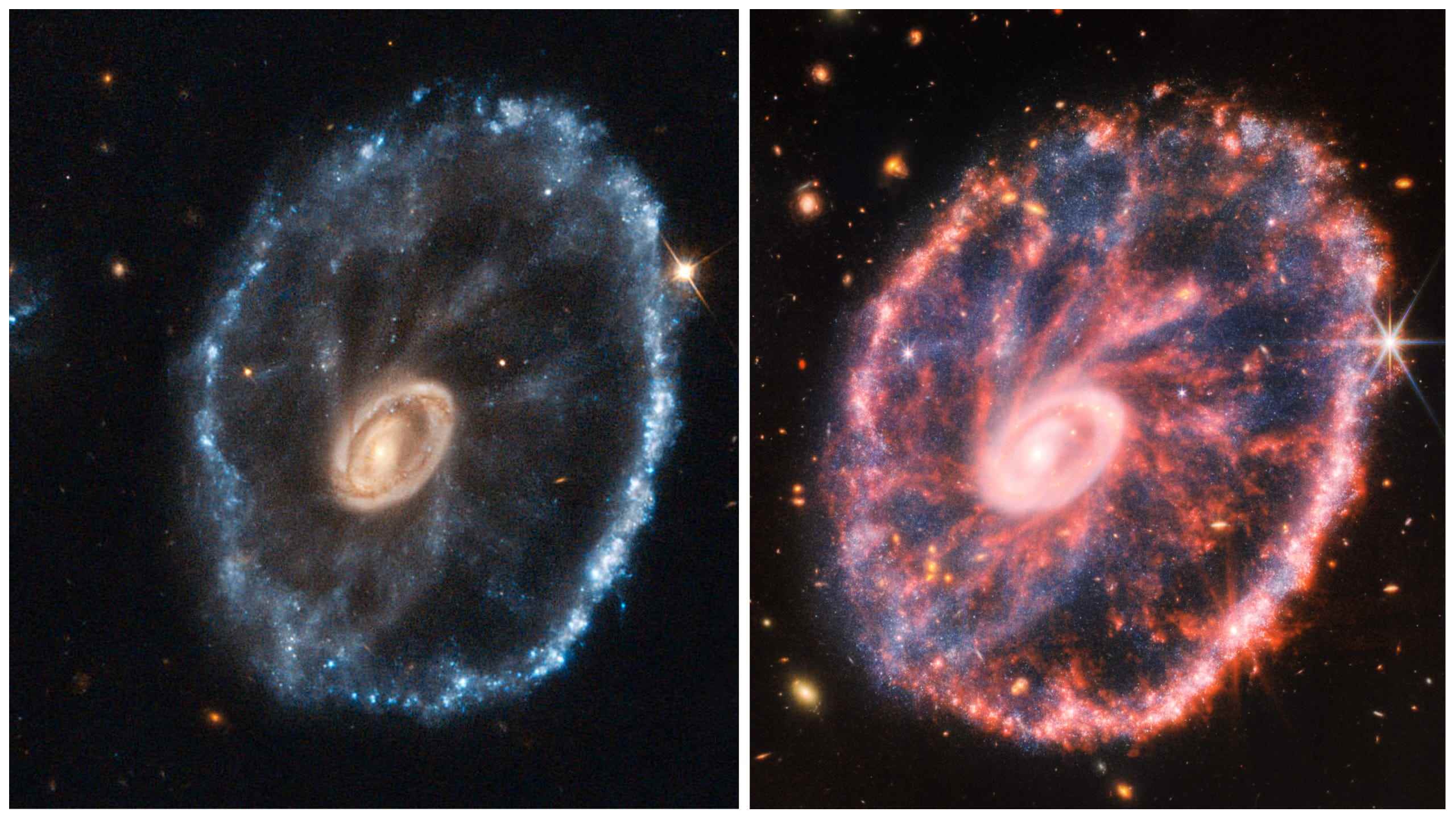 Links: Mit dem Hubble-Weltraumteleskop aufgenommenes Bild der Cartwheel-Galaxie.  Rechts: Links: Bild der Cartwheel Galaxy, aufgenommen mit dem James Webb Space Telescope.