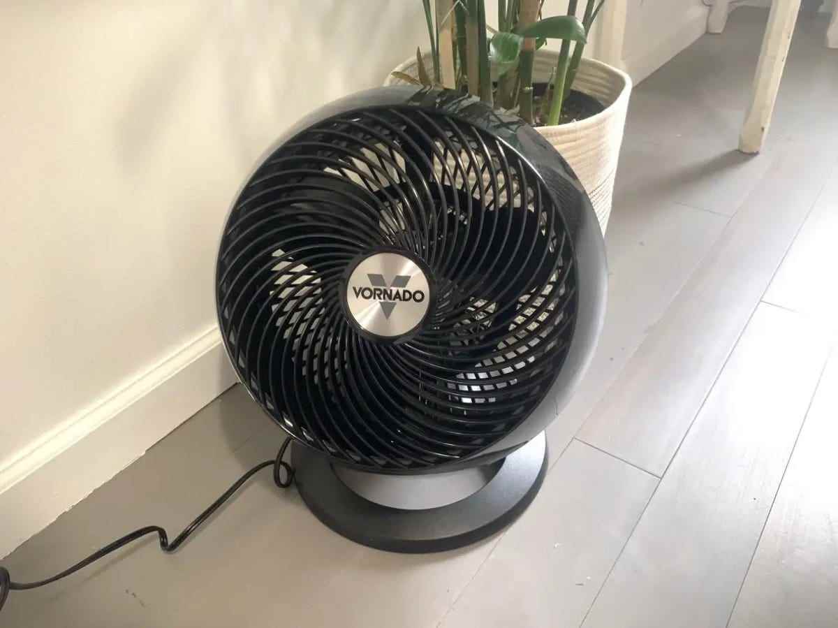 Der Vornado 660 Large Whole Room Air Circulator Fan wird auf dem Boden neben einer Pflanze ausgestellt.