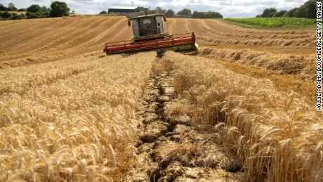 Große Erleichterung, als ukrainisches Getreide verschifft wurde, aber die Nahrungsmittelkrise geht nirgendwo hin
