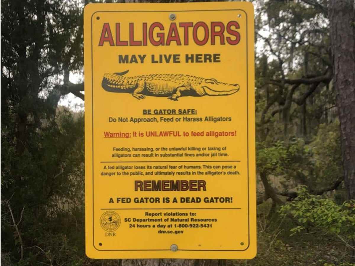 Zeichen von Alligatoren in Charleston