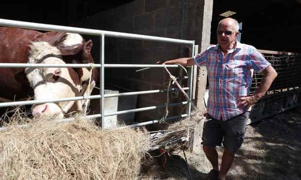 Peter Langford, ein Bauer in Northend, überlegte, Wasser in Flaschen für sein Vieh zu verwenden.