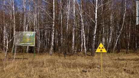 Schilder warnen davor, den Roten Wald um Tschernobyl zu betreten, der einer der am stärksten kontaminierten Atomstandorte der Welt ist.