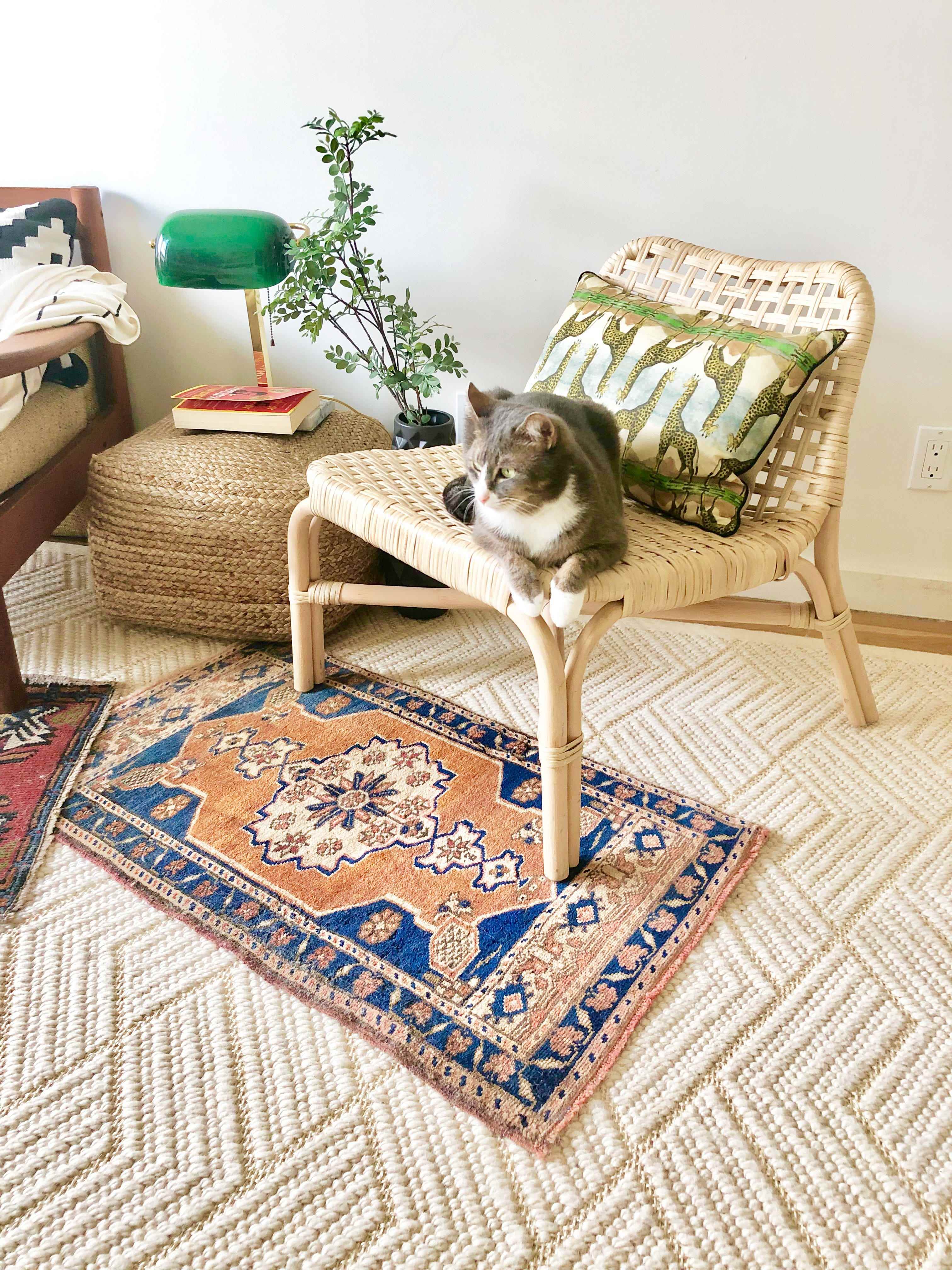 Der Monochrome Texture Dunescape Teppich von Rugs USA unter einem bunten Teppich und einem Stuhl mit einem Katzenstich darauf.