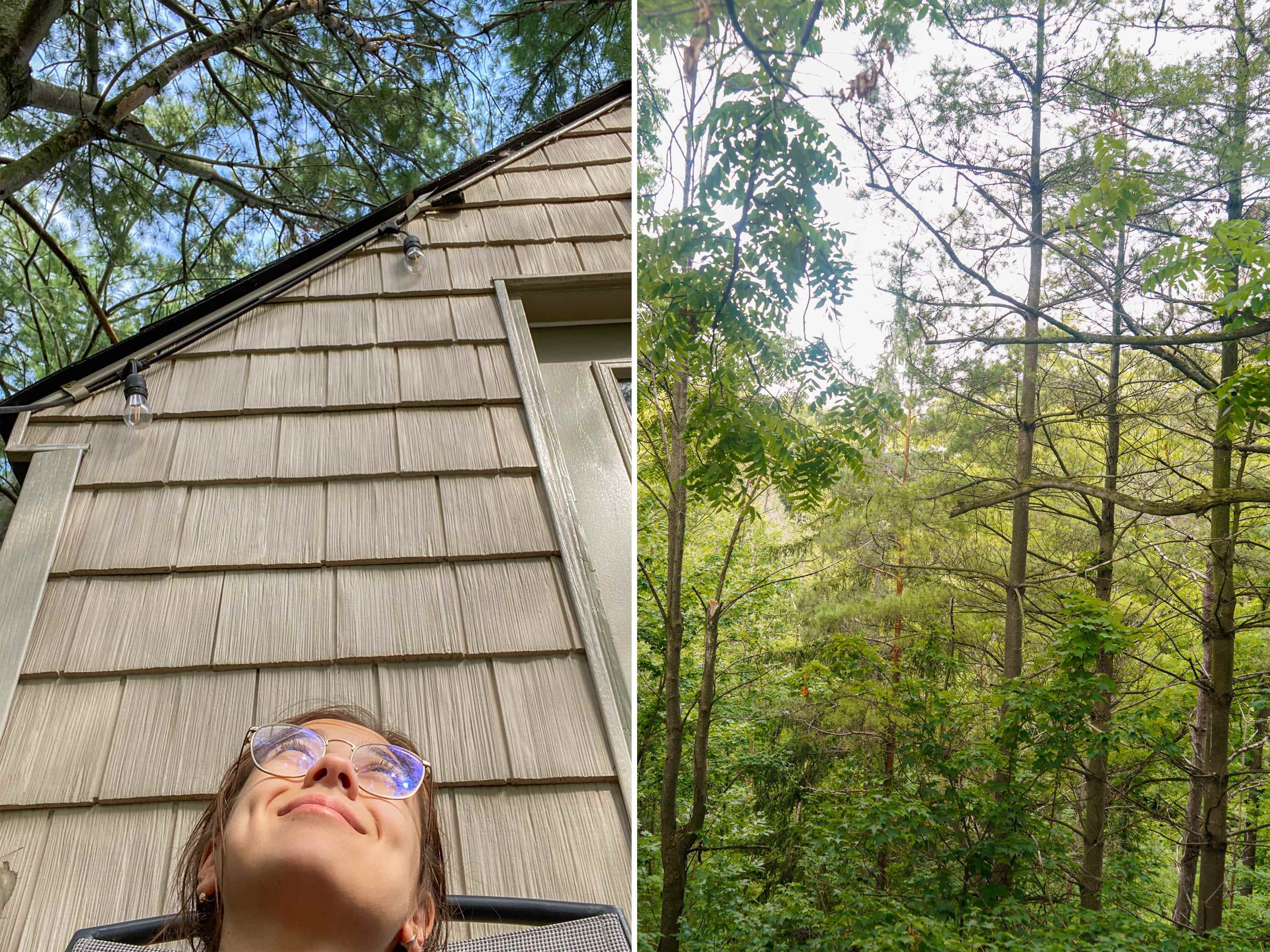 Der Autor genießt die Aussicht vom Baumhaus
