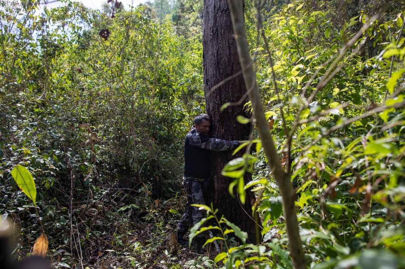 Olímpio Iwyramu Guajajara umarmt einen von Holzfällern begehrten Baum während einer Mission zur Bekämpfung der Entwaldung
