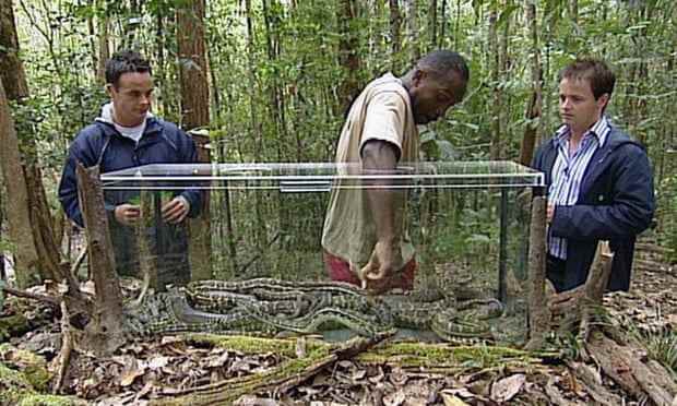 Ich bin die erste Staffel einer Berühmtheit im Jahr 2002: Ant und Dec sehen zu, wie Ex-Boxer Nigel Benn einem Schlangenprozess unterzogen wird.