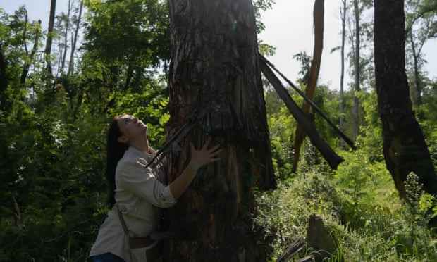 Die Umweltschützerin und Politikerin Hanna Hopko betrachtet einen stark beschädigten Baum in einem Wald außerhalb von Tschernihiw