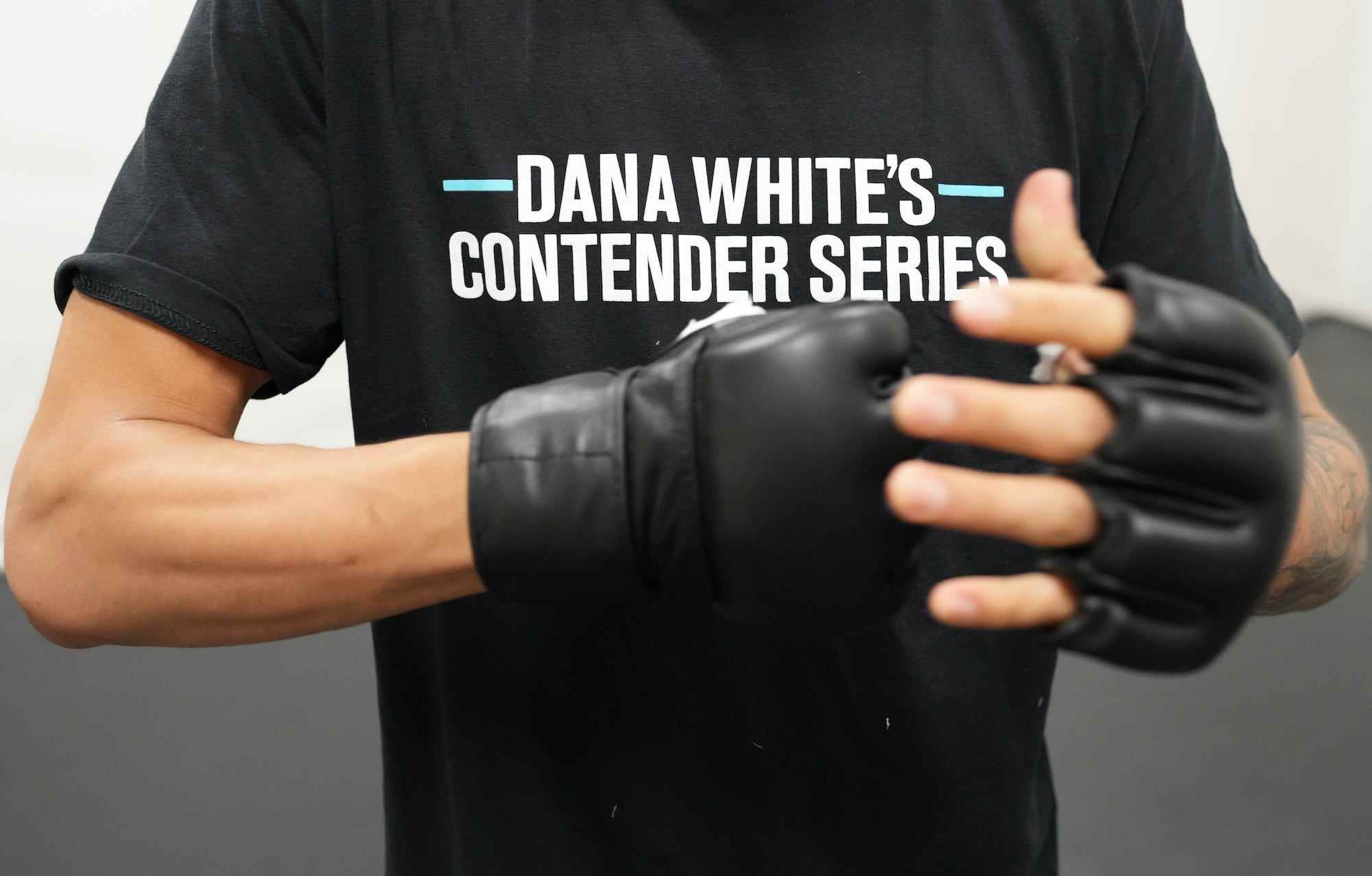 Die Contender-Serie von Dana White.