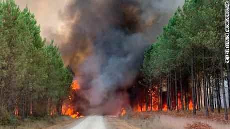 Dieses Foto, das von der Feuerwehr der Gironde-Region SDIS 33 (Feuerwehr- und Rettungsdienst 33) zur Verfügung gestellt wurde, zeigt, wie Flammen am Mittwoch Bäume in Saint Magne, südlich von Bordeaux, im Südwesten Frankreichs, verzehrten.