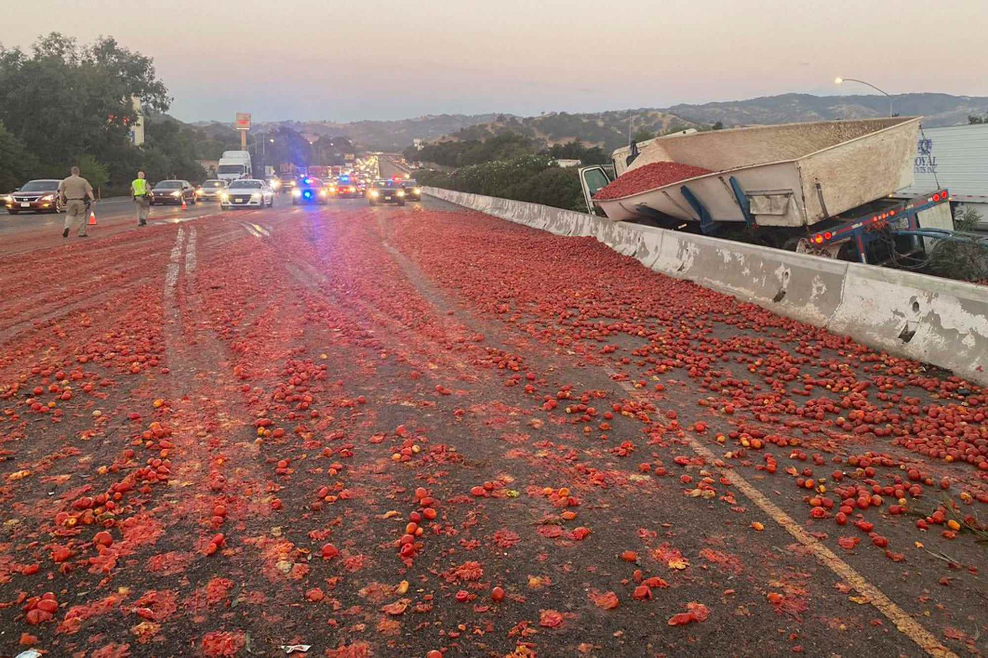 Auf diesem von der California Highway Patrol bereitgestellten Foto ist die Szene zu sehen, in der ein Lastwagen mit einer Ladung Tomaten nach einer Kollision in der Nähe von Vacaville, Kalifornien, am Montag, dem 29. August 2022, abgestürzt ist.